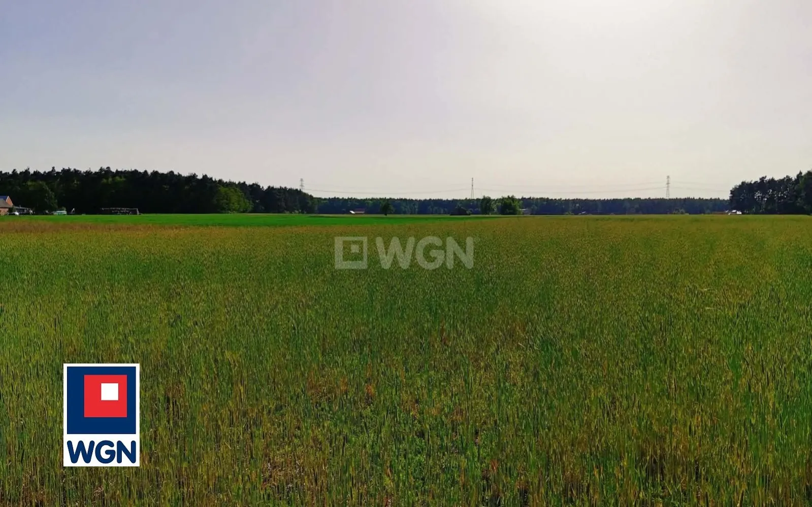 Działka na sprzedaż Zamośc