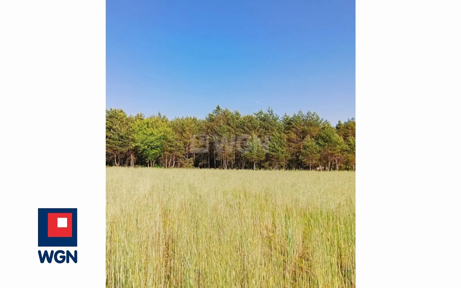 Działka na sprzedaż Zamośc